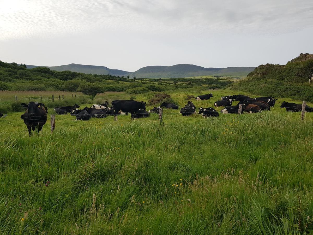 Traditional Irish Farmhouse Anascaul Eksteriør billede